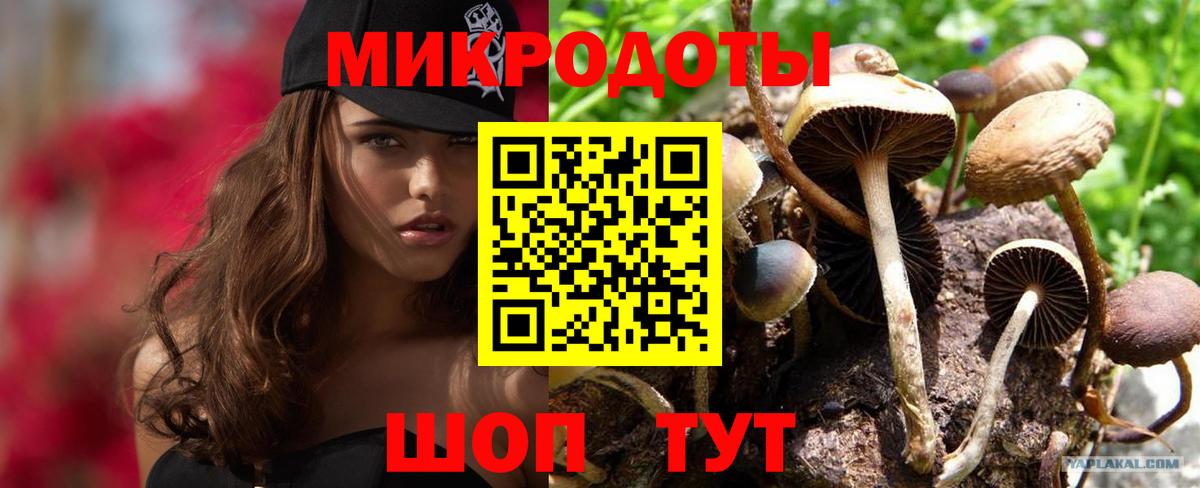Галлюциногенные грибы прущие грибы Усть-Илимск