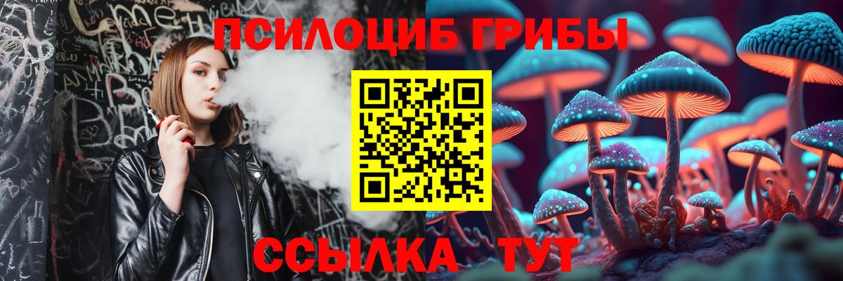 Усть-Илимск  Псилоцибиновые грибы мухоморы  Вход с VPN  Псилоцибиновые грибы Psilocybine cubensis 
